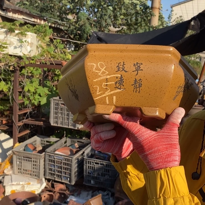 花盆紫砂紫砂特价包邮送