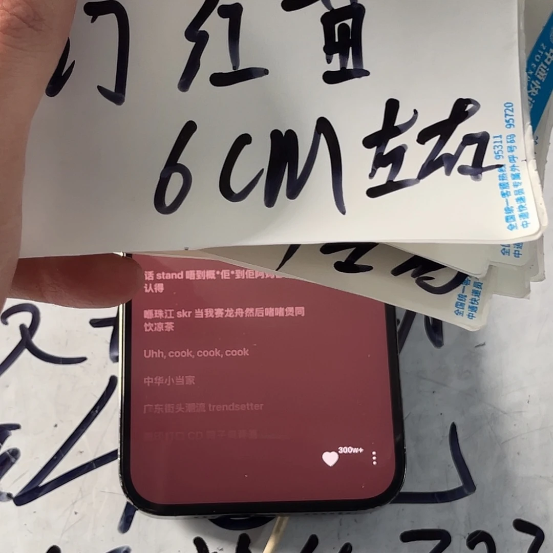 雷龙鱼幻红11111111