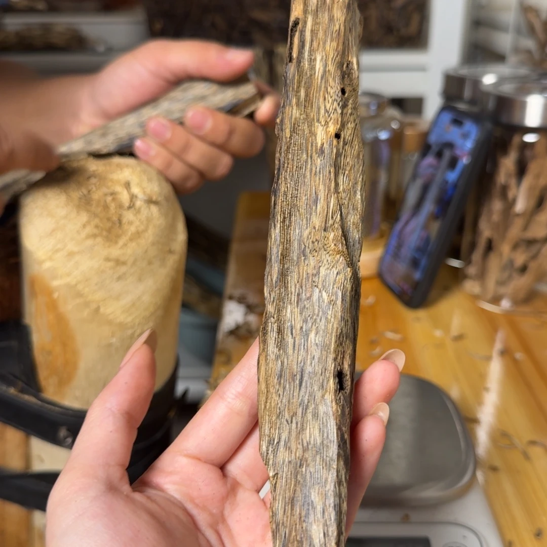 沉香白奇虫漏香29克