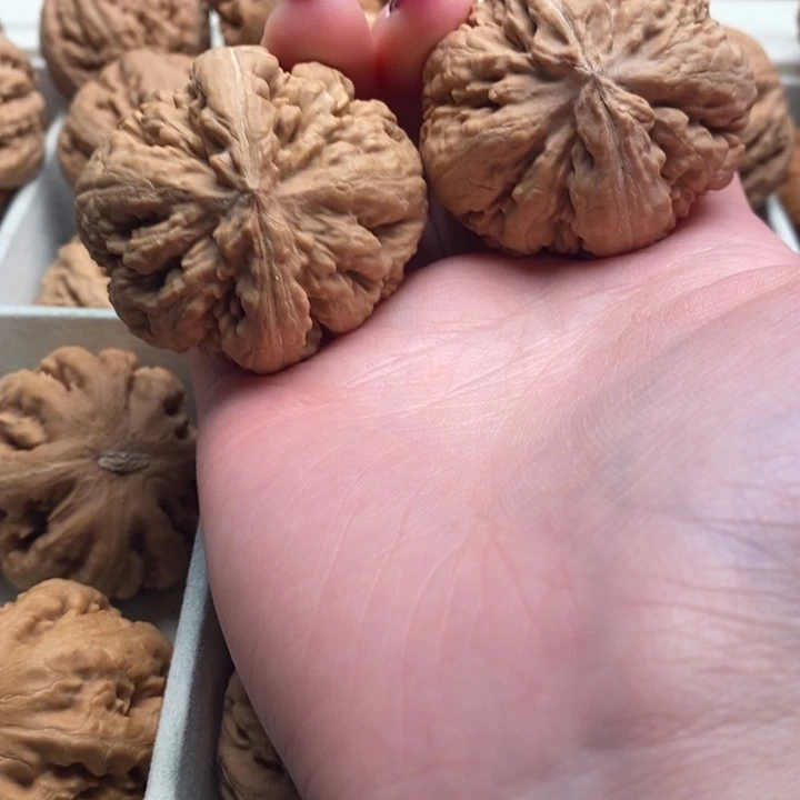 @***光文玩核桃吊坠霸王龙