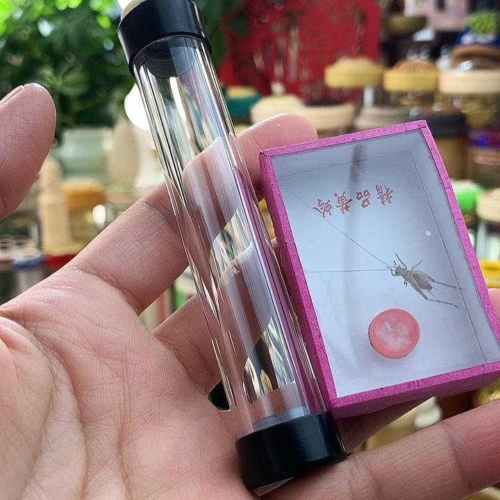 不***鱼带大黄啊啊啊啊啊啊啊