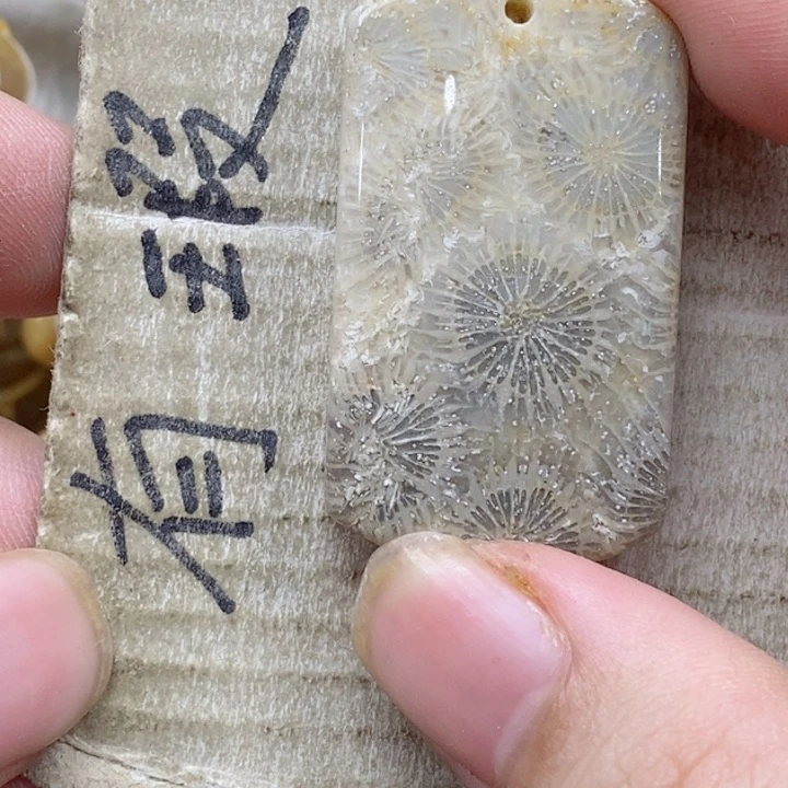 颈饰未镶嵌硅化珊瑚（珊瑚玉）用****0小