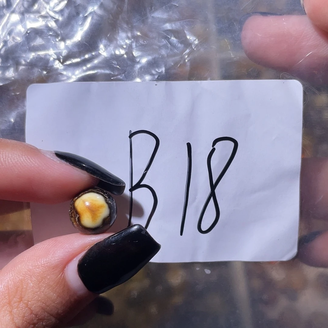 未镶嵌琥珀裸石9.9福利