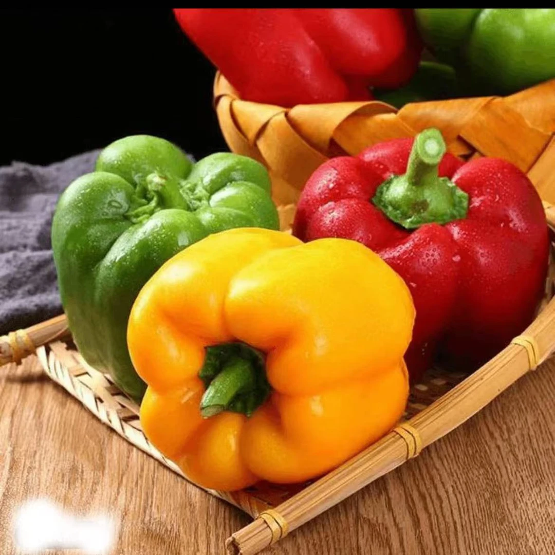 【川果域 】山东三色彩椒3斤9-11个 5斤 17-21个