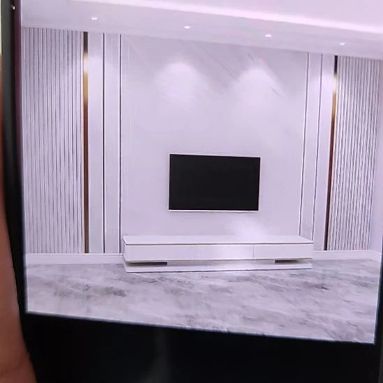 梦***都客厅电视墙壁画壁布材质