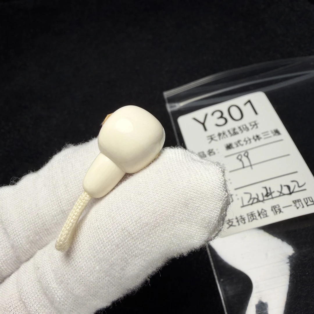 Y301天然猛犸象牙胖墩藏式分体三通配饰果冻料13*14*22mm