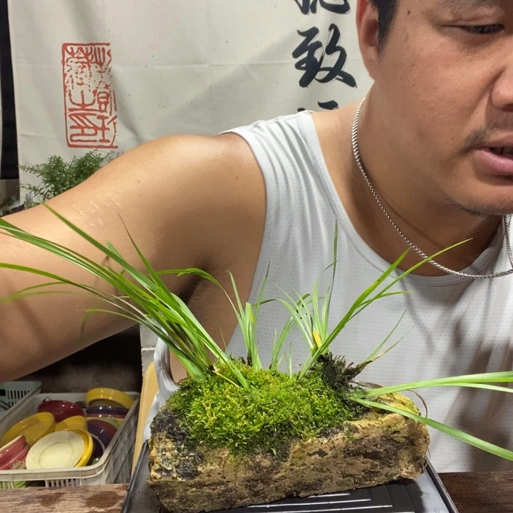 *️一物一拍所见即所得250