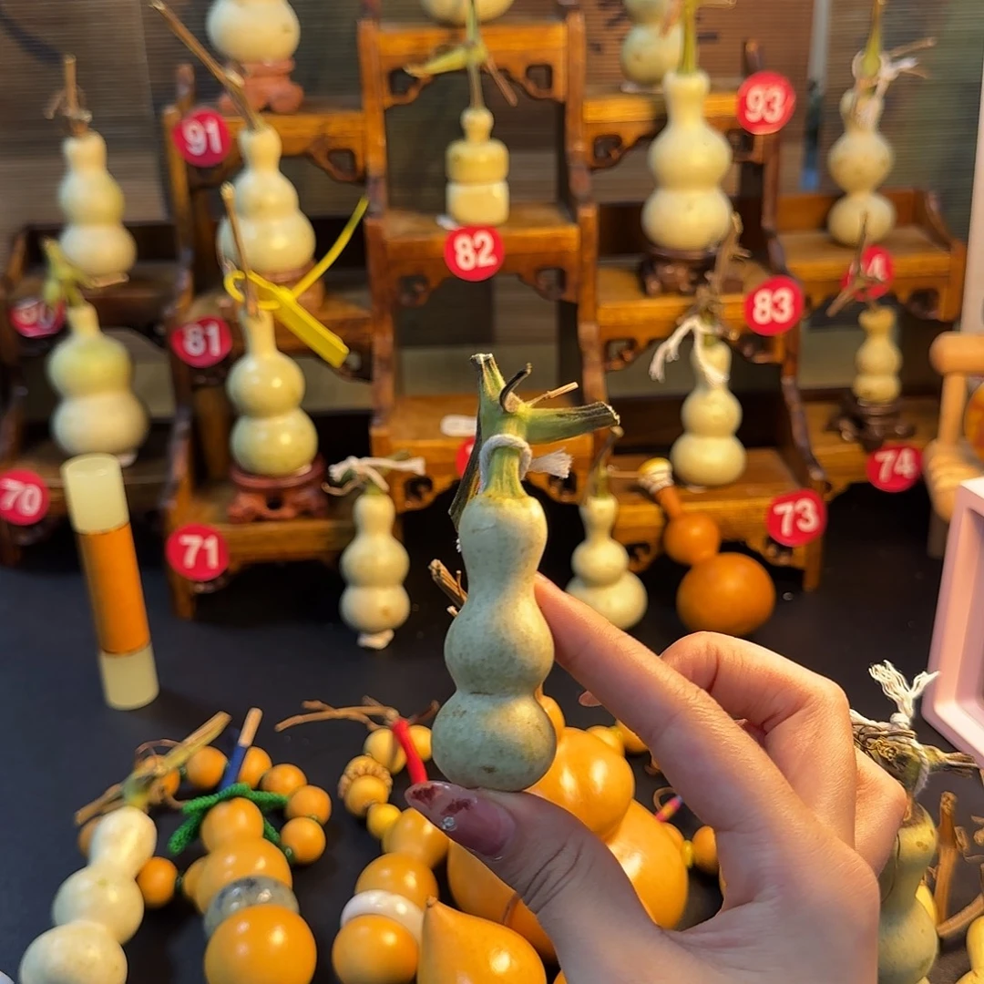 半***魔大叶紫檀（黑酸枝木类）