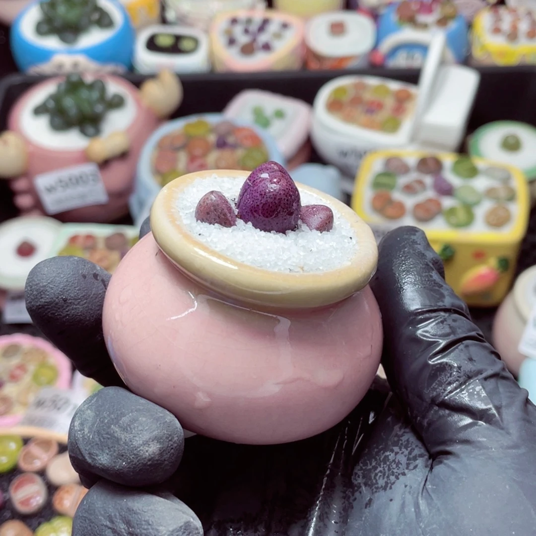 w5018--带盆土发货，零下地区拍保温箱