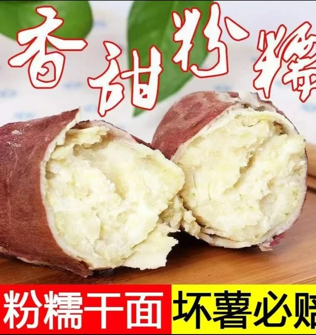 陕西正宗板栗红薯5斤新鲜现挖粉面干甜小番薯农家地瓜烤红薯-