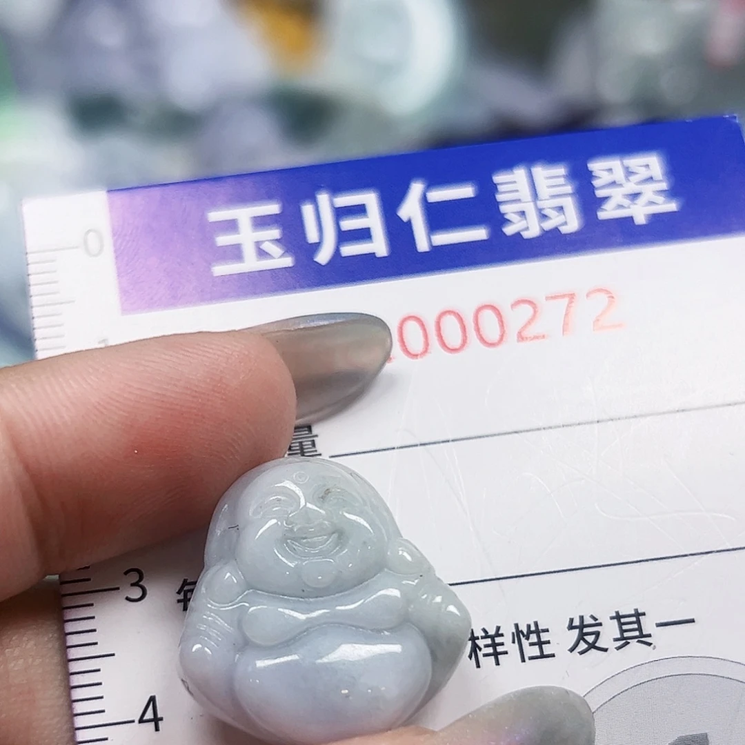 翡翠未镶嵌吊坠(不含链)11111