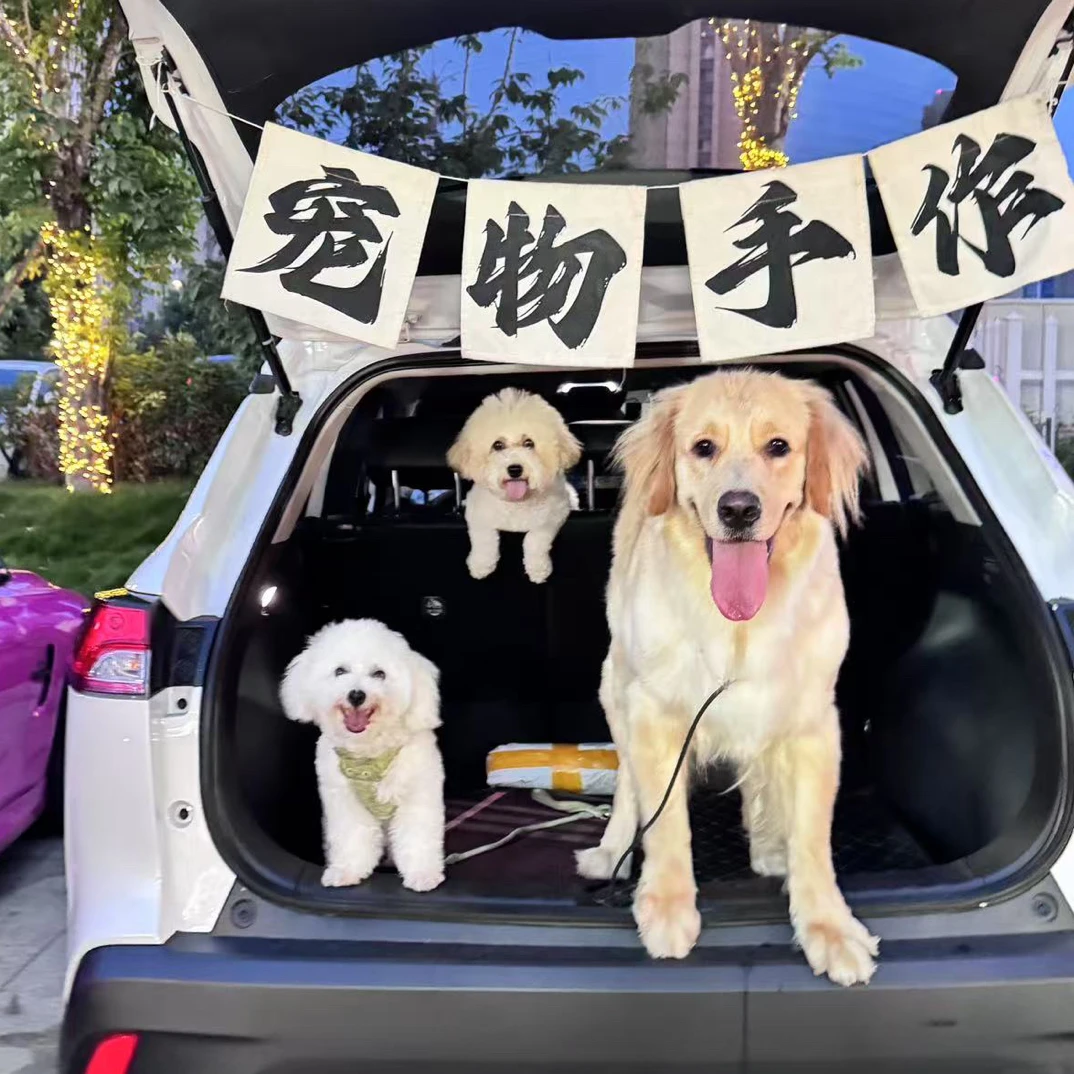 混合试吃|小猫小狗磨牙零食