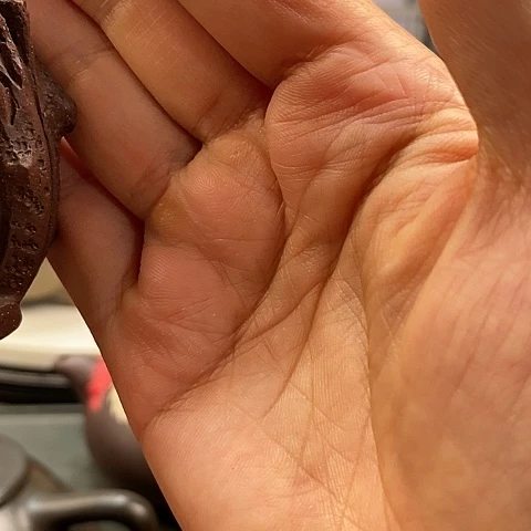 .***舞茶壶紫砂紫砂壶名家紫砂壶