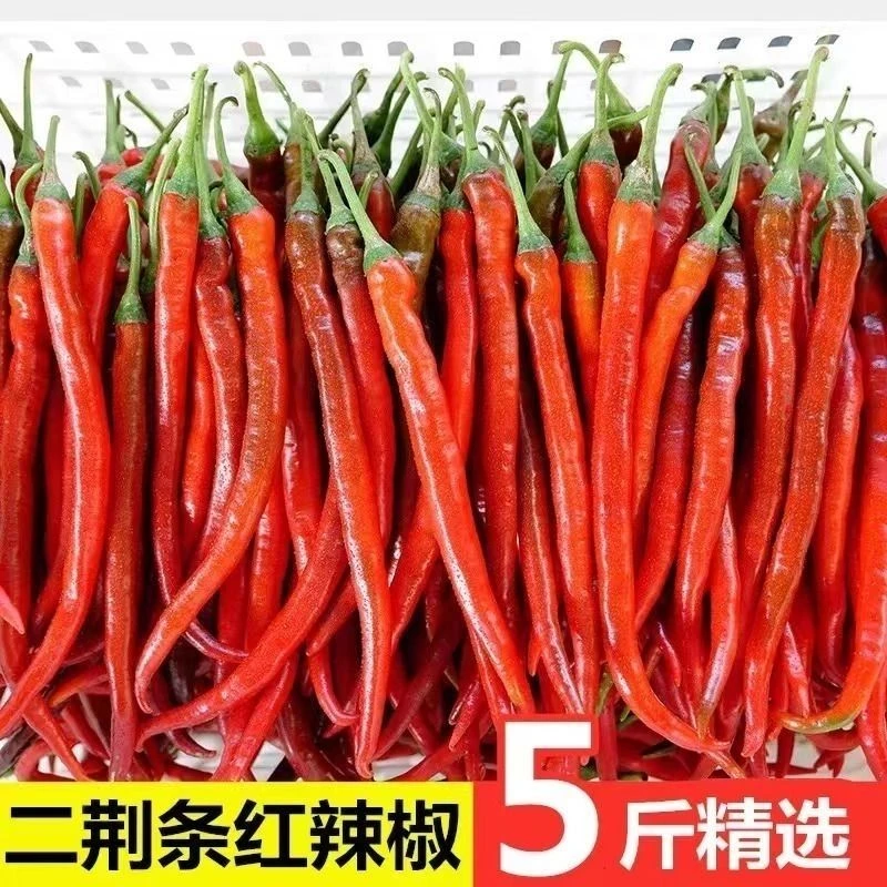 新鲜红二荆条红线椒中高辣超香新鲜青红辣混装椒泡椒尖椒5斤
