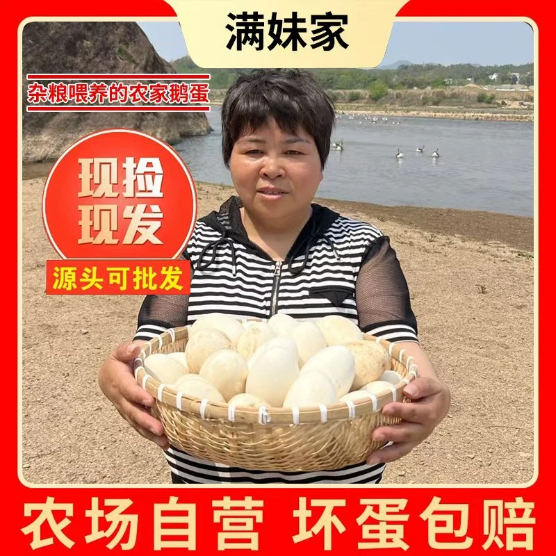 【满妹补贴】现捡现发新鲜散养鹅蛋一箱12枚单枚重120g左右