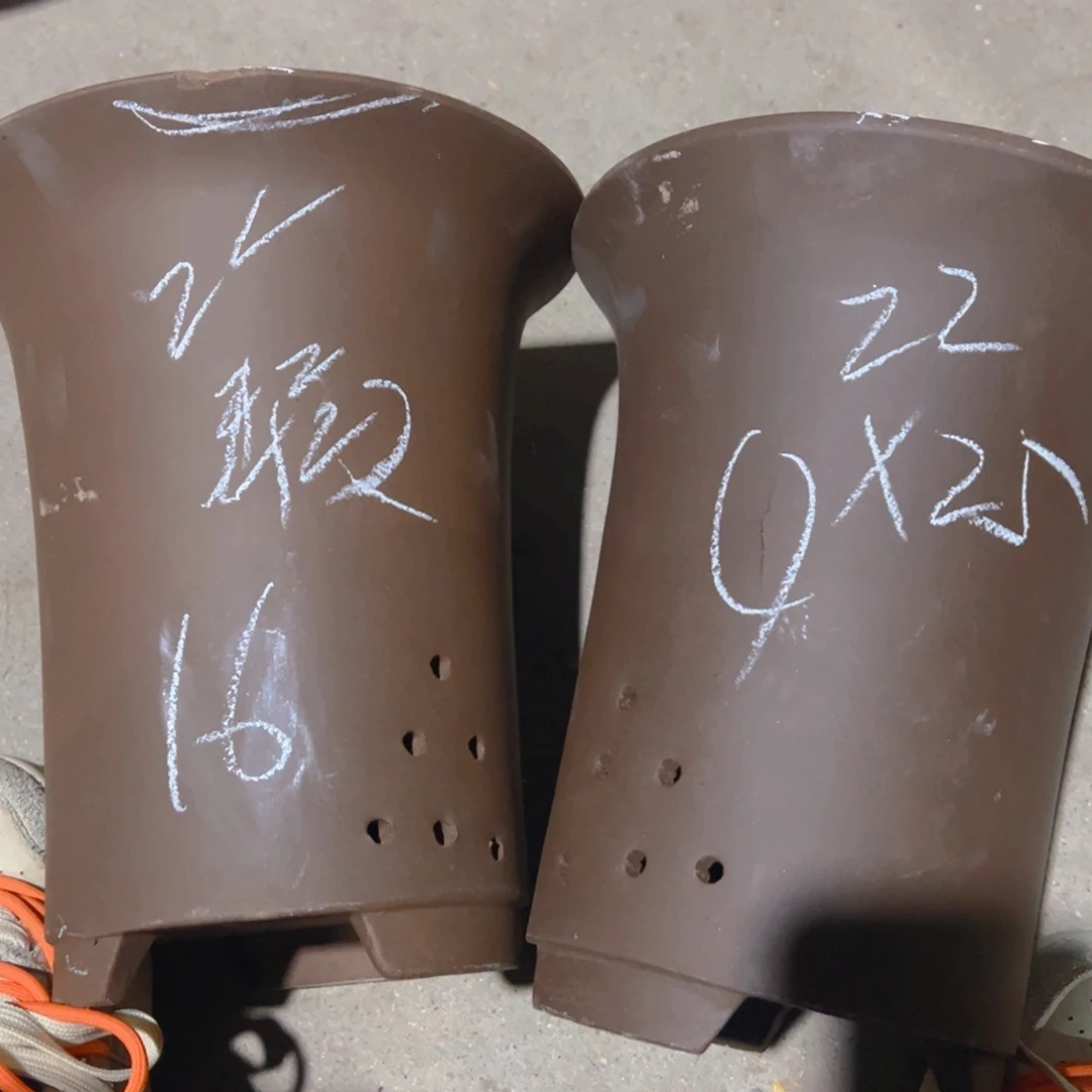 紫砂16……………………………………