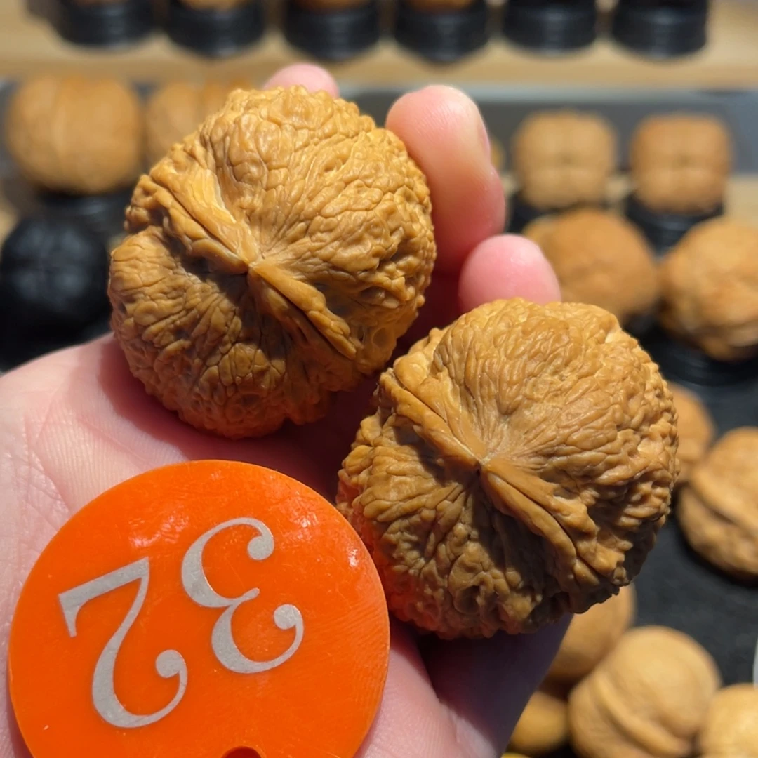 铁绣球核桃38。