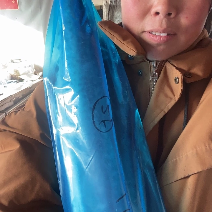 和***姐中国大陆渤海湾野生燕鲅鱼25号