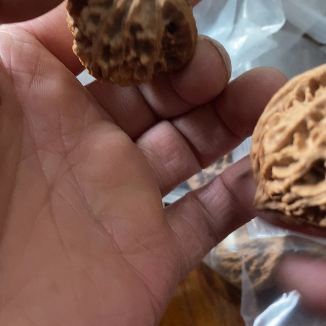 秦岭南北缘是指山路