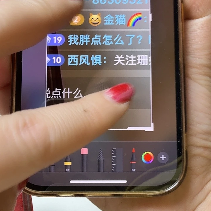 纯银西风惧 中签 链接