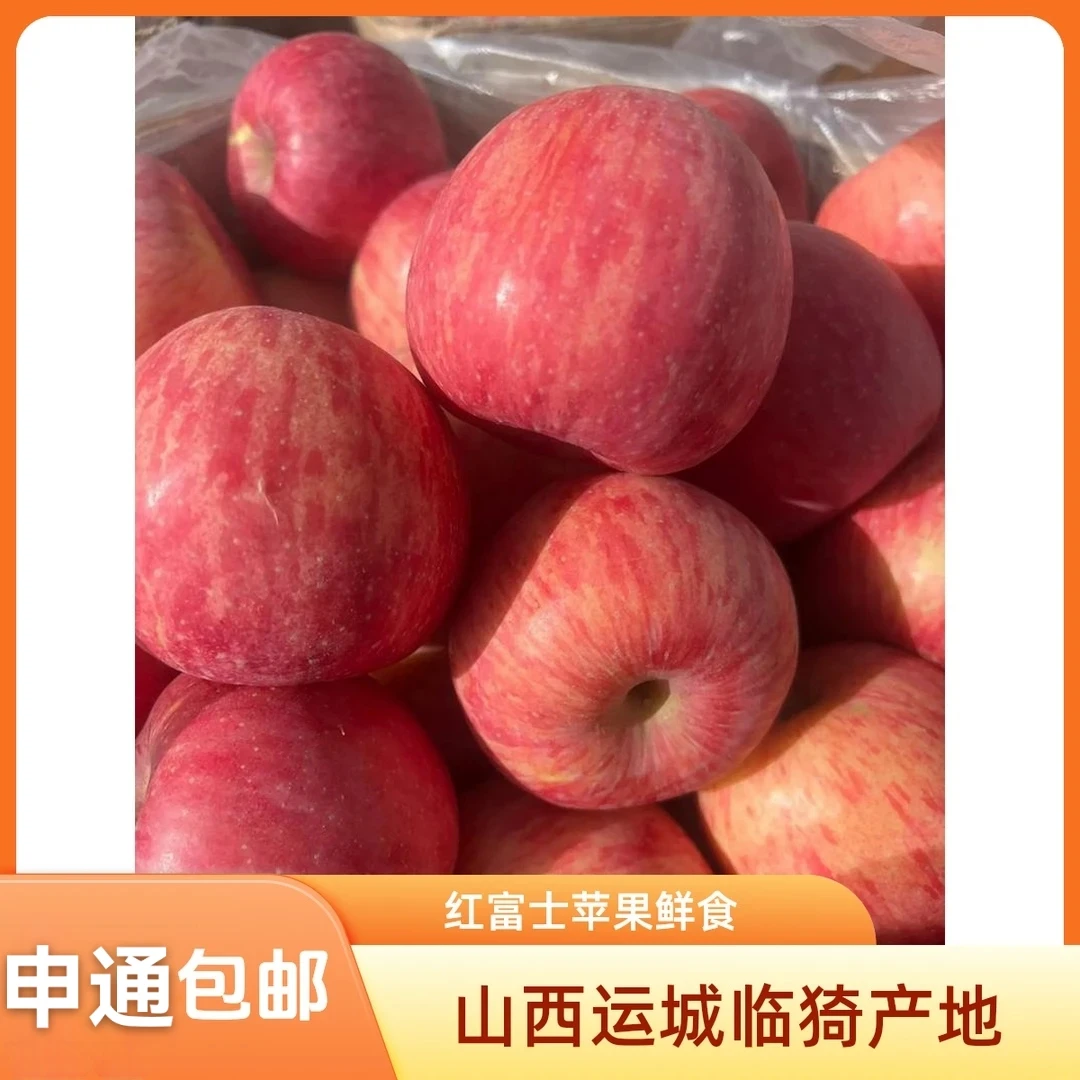 单膜～运城临猗红富士苹果新鲜应季皮薄肉脆口感好水果