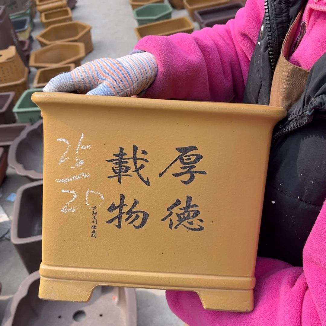 紫砂花盆盆景艺术