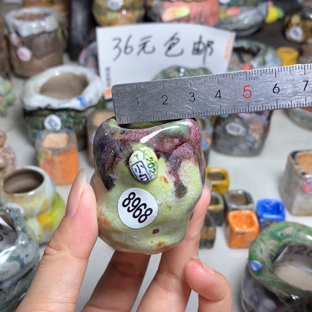 拍3送一个小礼物