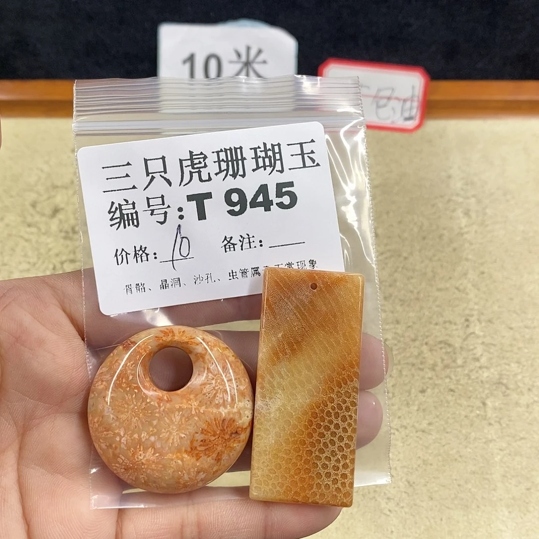 硅化珊瑚（珊瑚玉）1未镶嵌G**a