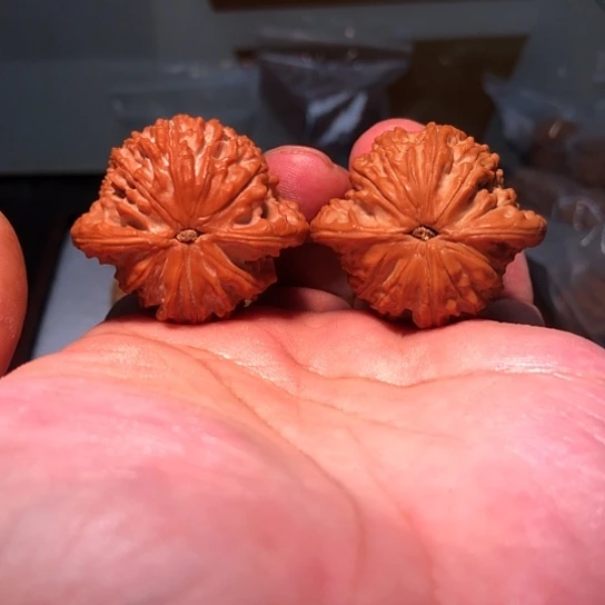 茉***有机玻璃好咯哦摩托哦哦