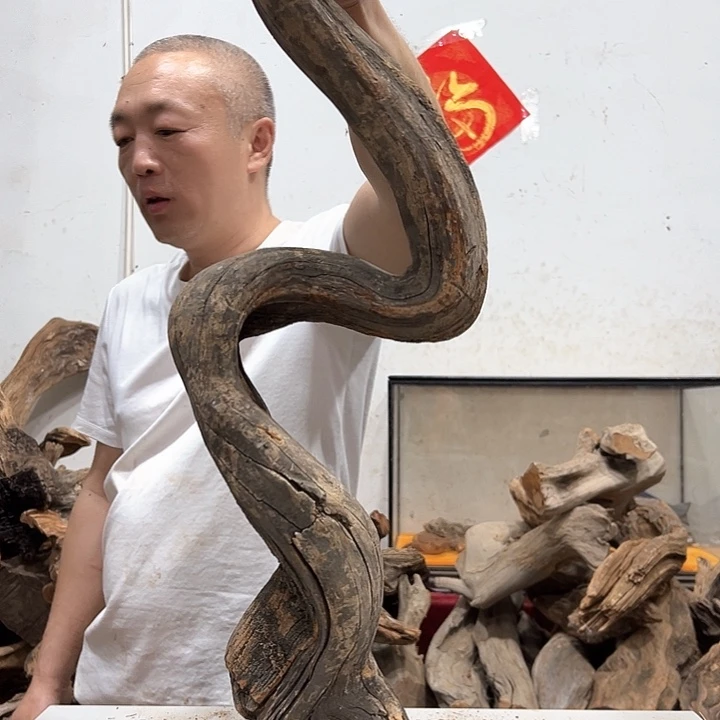 柏木我我们都是好孩子呀我的天