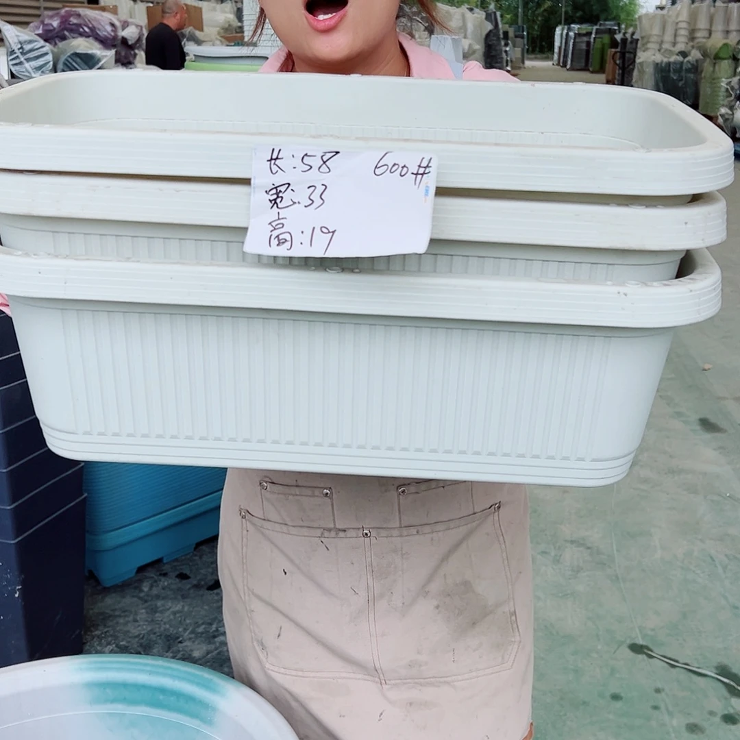 菜盆600#米白色3个无托