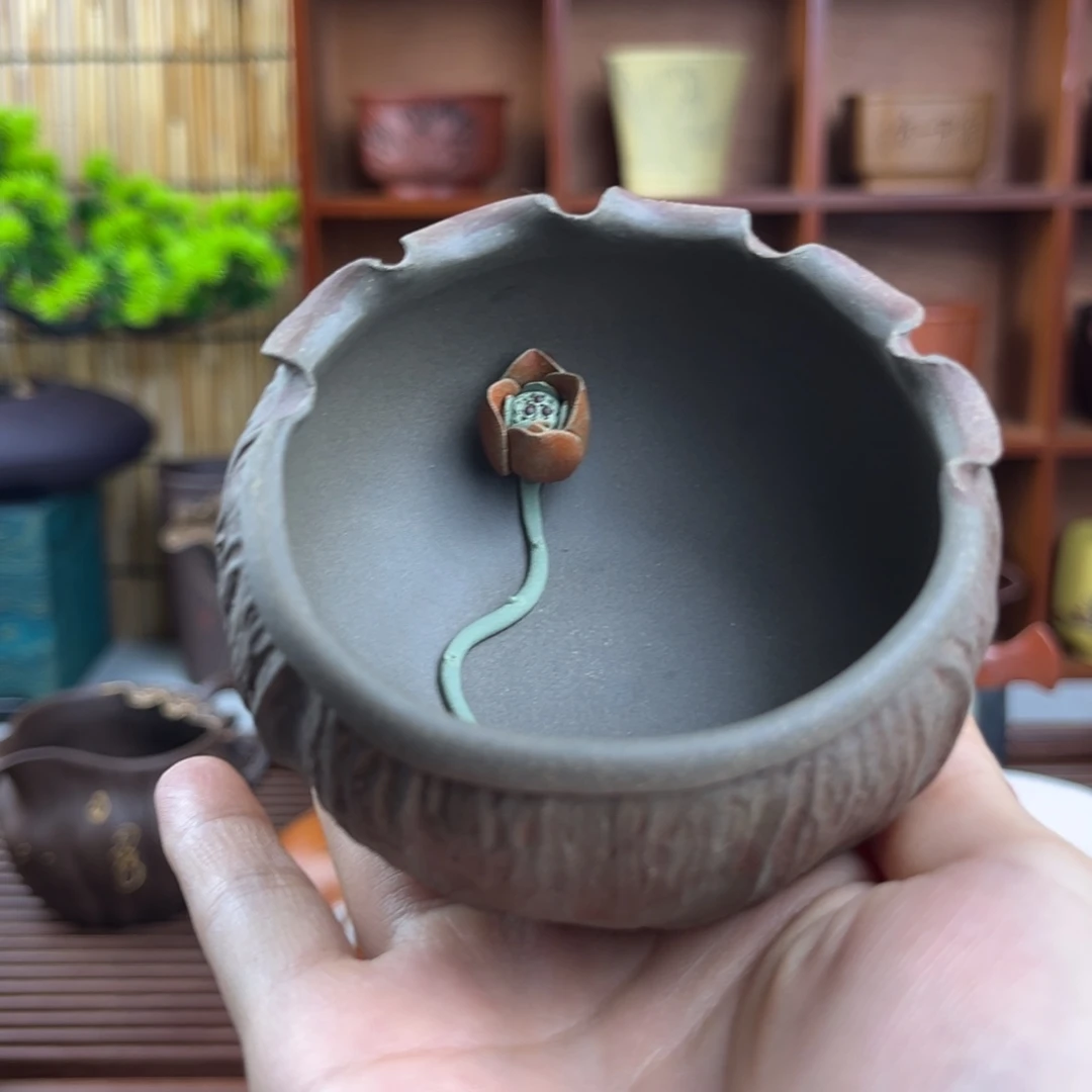 紫砂茶杯紫砂啊啊啊啊啊啊啊啊