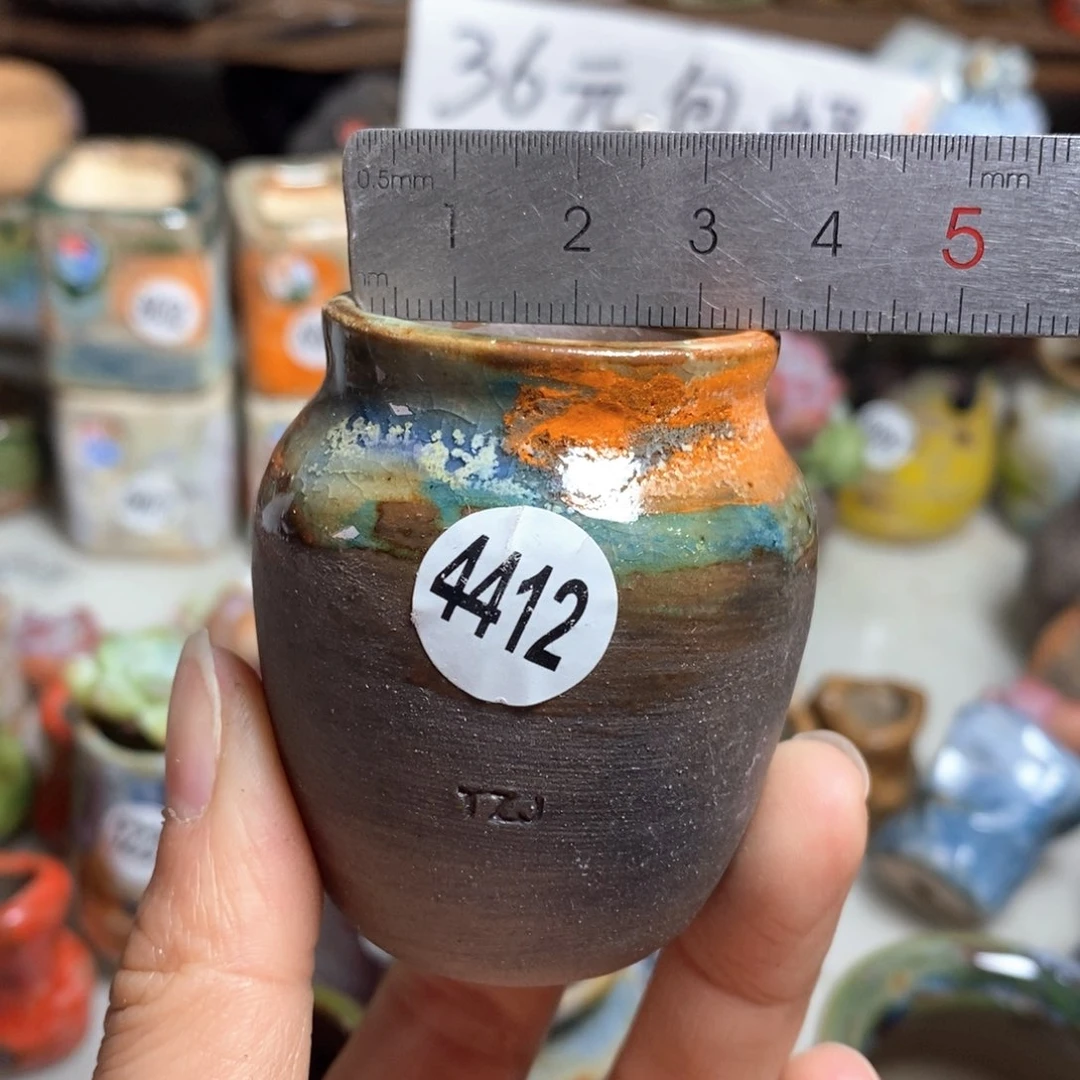 花盆拍5送一个小礼物