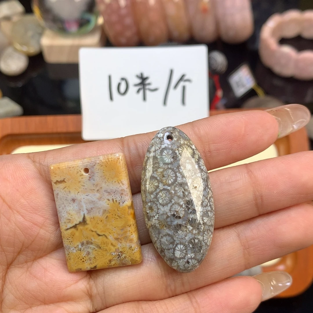 【闪购商品】颈饰未镶嵌硅化珊瑚（珊瑚玉）澄*然