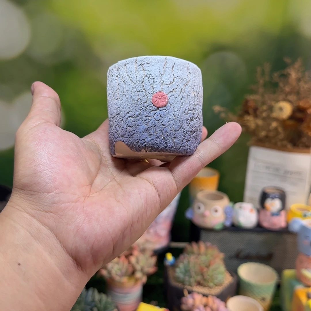 S***e凄凄切切又温柔地爱过的