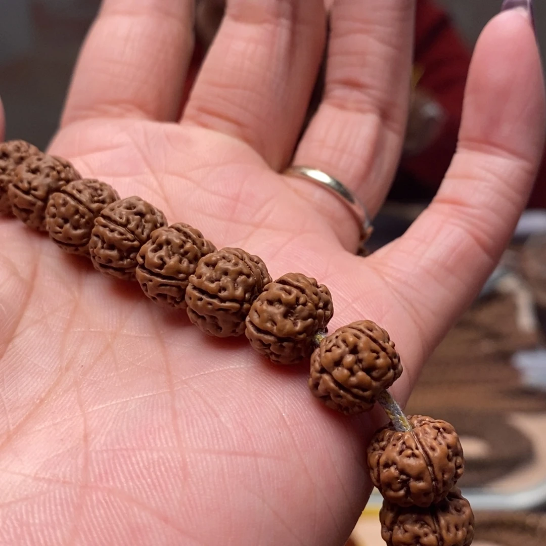 珍***.菩提籽类老树王手持