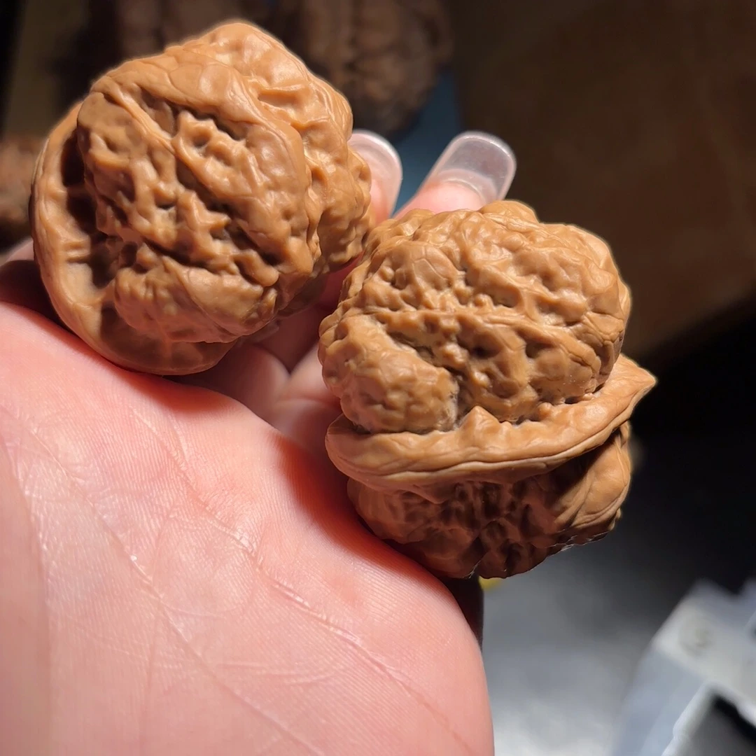 核桃42肚尺蛤蟆头全品大蹬腿