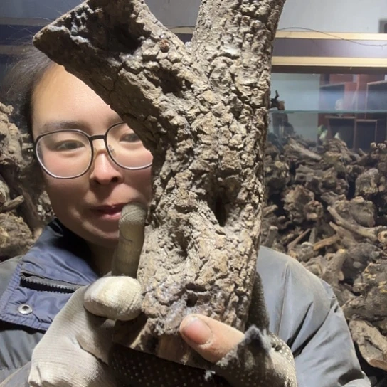 香榧木穿****下火琉璃的毛料摆件