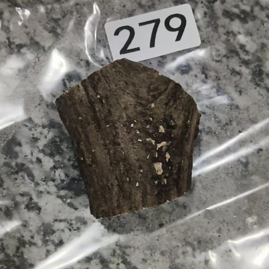 生***子鹿角鹿角鹿角鹿角鹿角鹿角