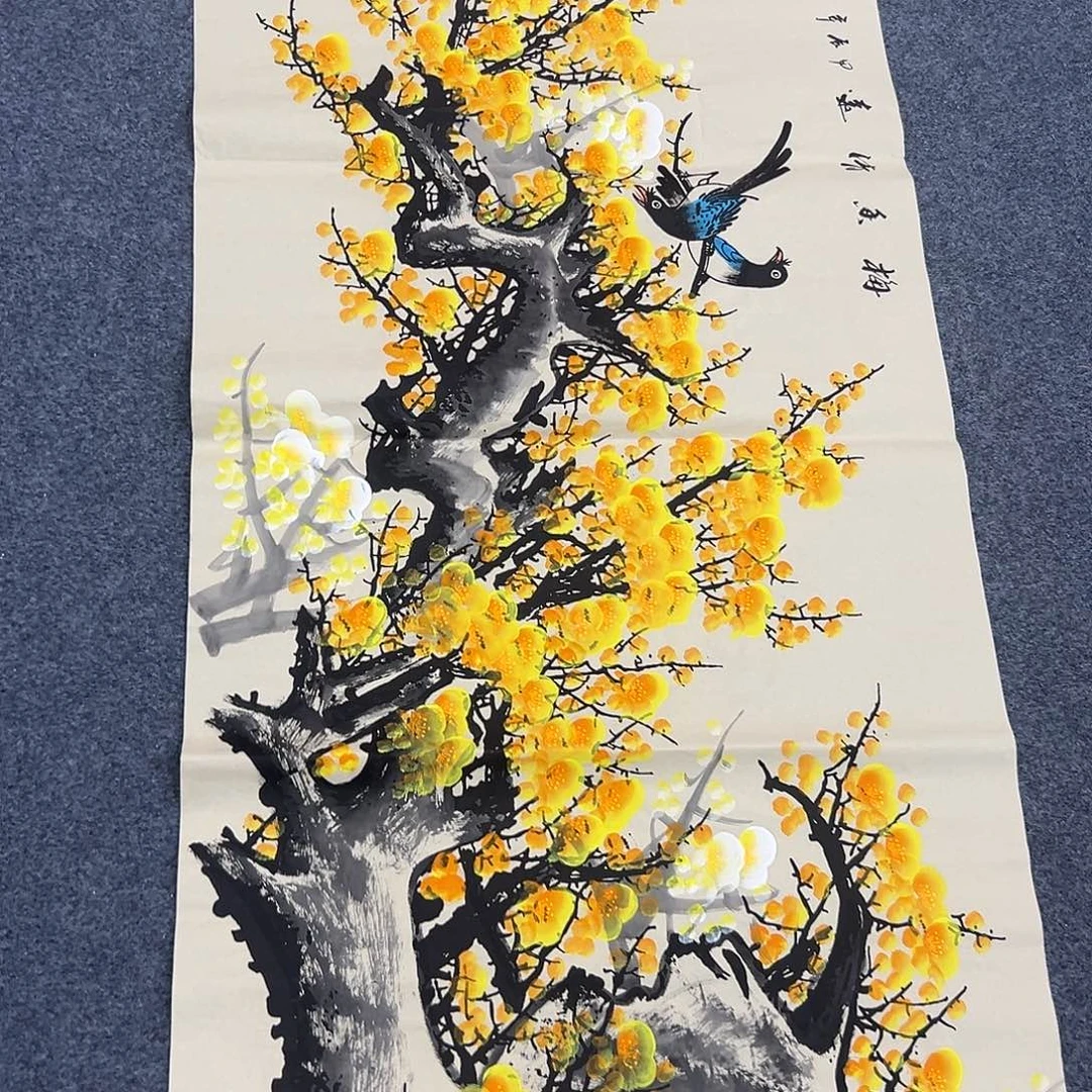 新号开播领福利了