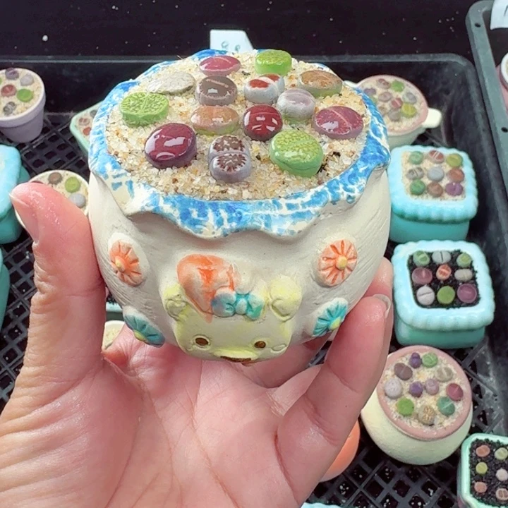 903凑满18包邮零下地区记得拍保温箱