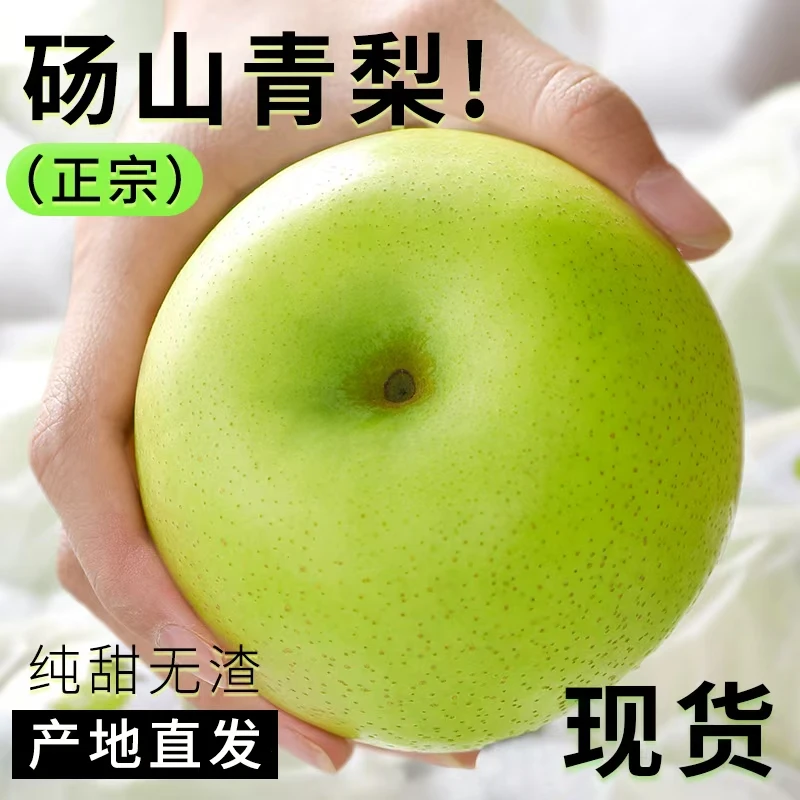 正宗砀山青梨新鲜水果当应季整箱安徽现摘皇翠冠玉酥香雪梨子