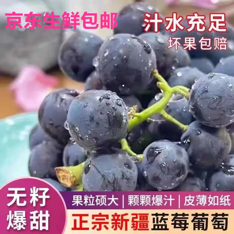 【京东冷链包邮】爆款新疆蓝莓葡萄 皮薄无籽 脆甜爆汁 玫瑰香气