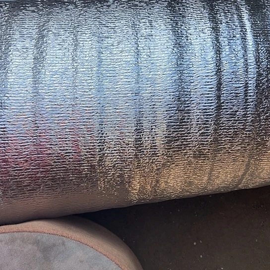 多肉植物一个保温箱