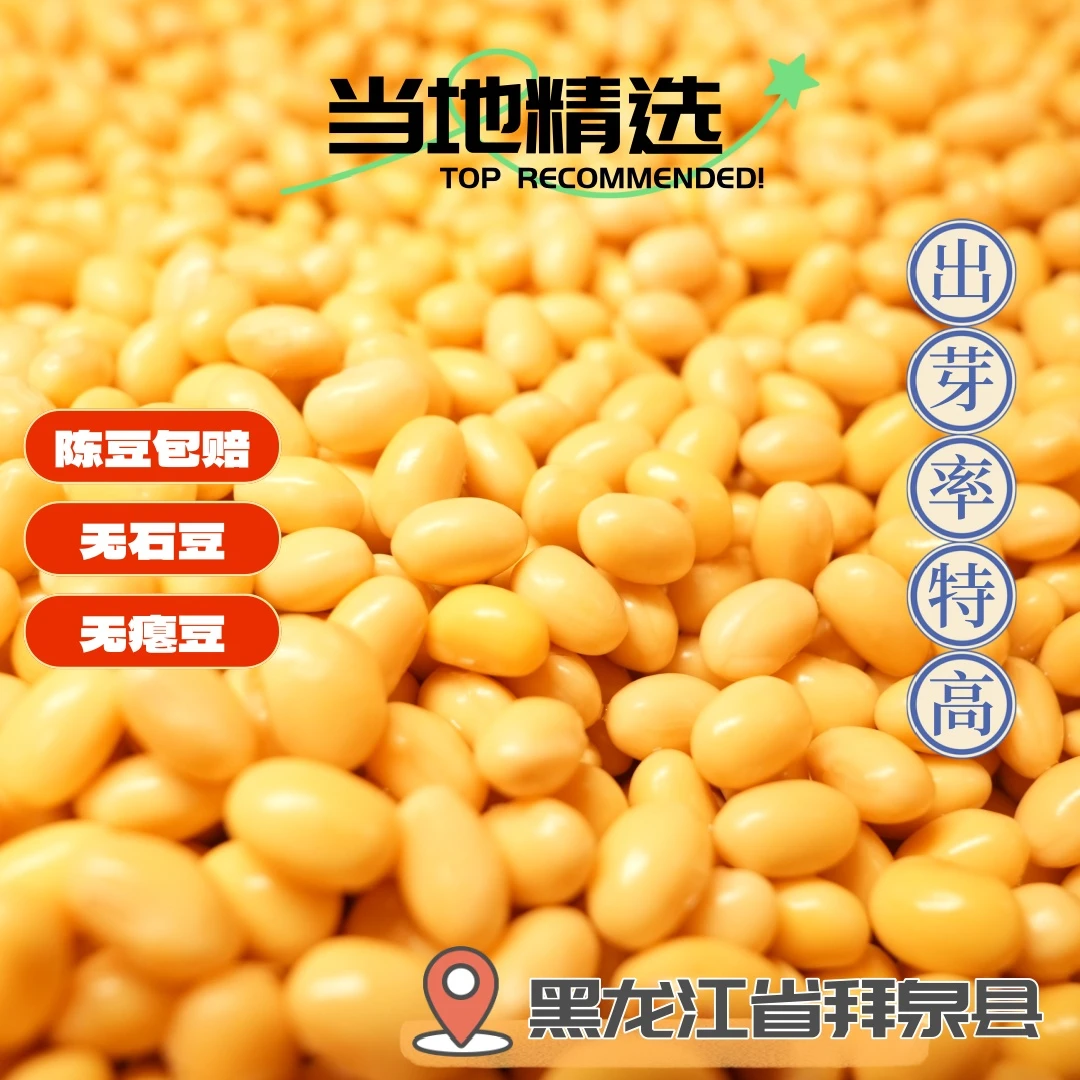 【1/5试吃】25年东升1号精选芽豆（中粒黄豆）高蛋白42+打豆浆更营养
