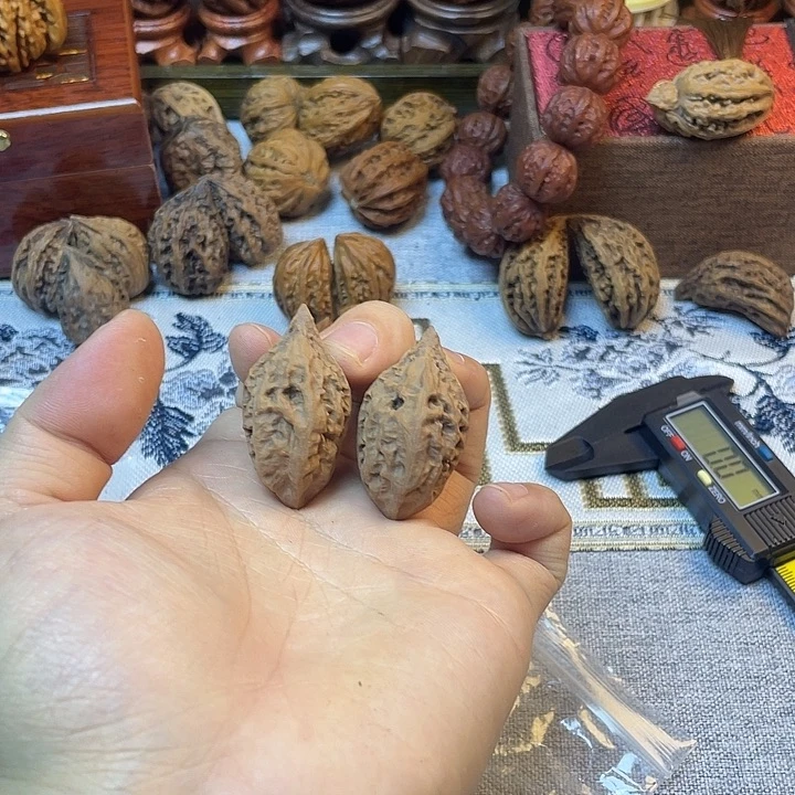 核桃东北楸子红缨枪50