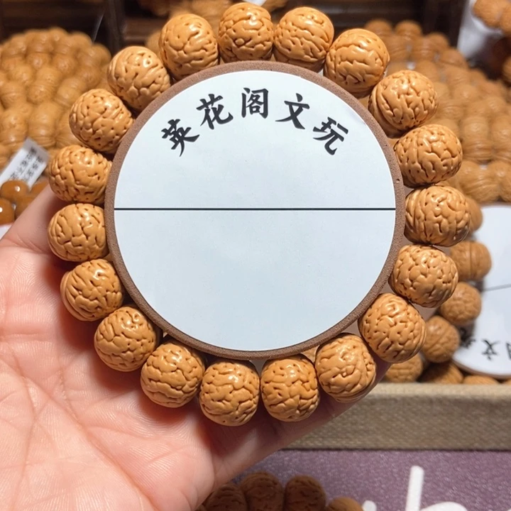 风***者11号链接，金丹。，