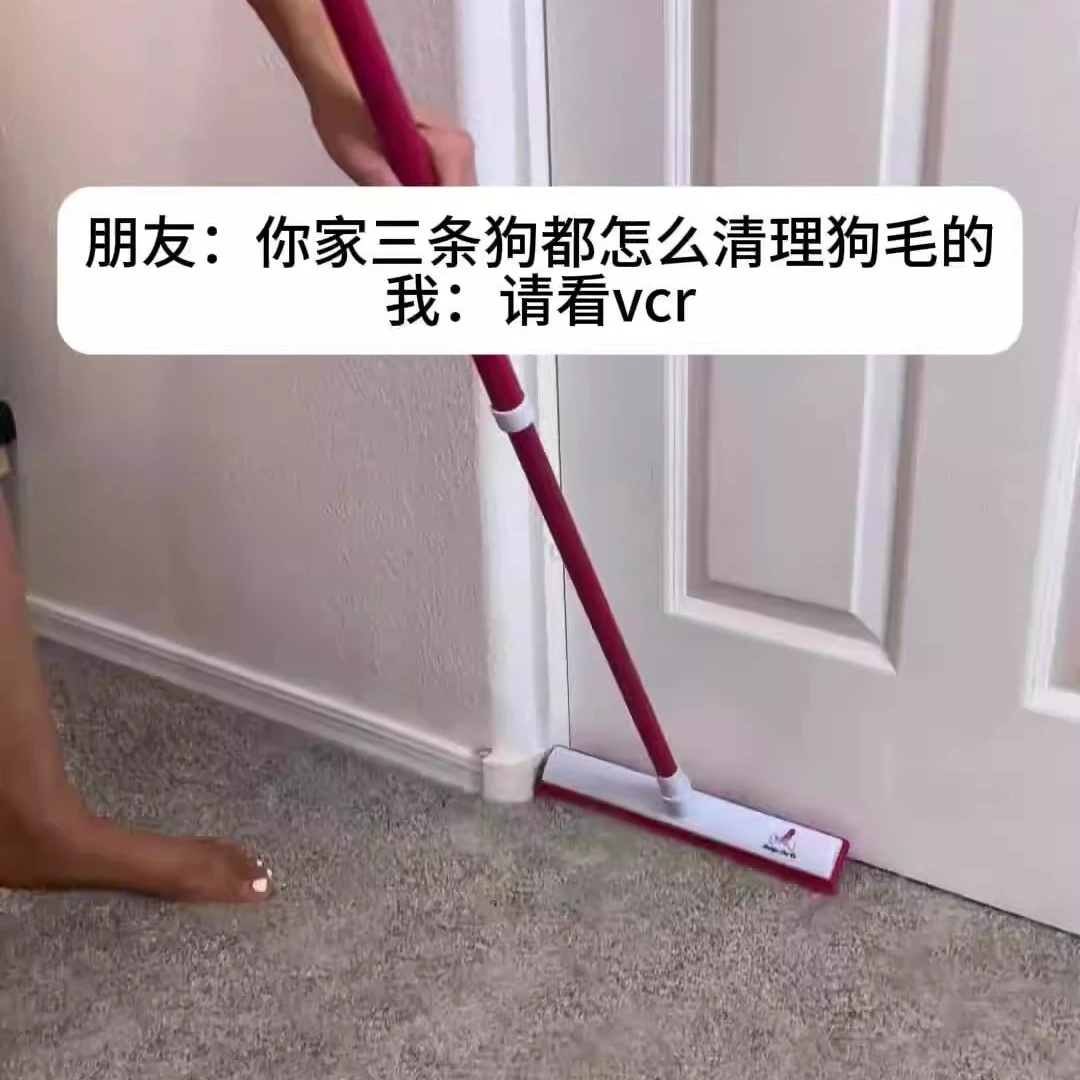 宠物除毛地毯扫把家用扫毛神器不粘毛免手洗毛头发清洁刷子灰尘刮