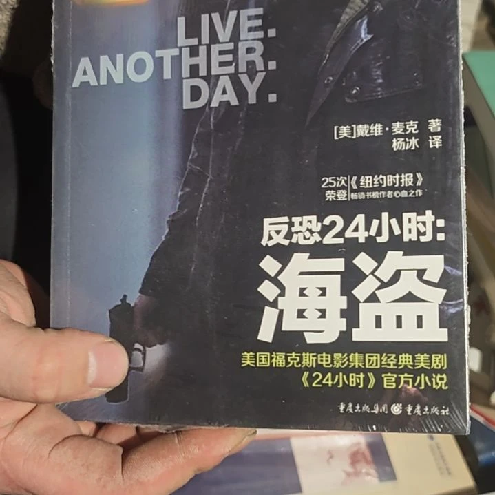 反恐24小时海盗平装库存书
