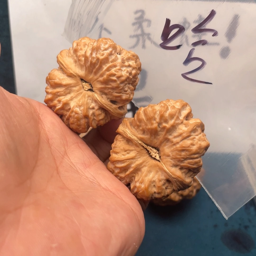 哈****756375537753537357357